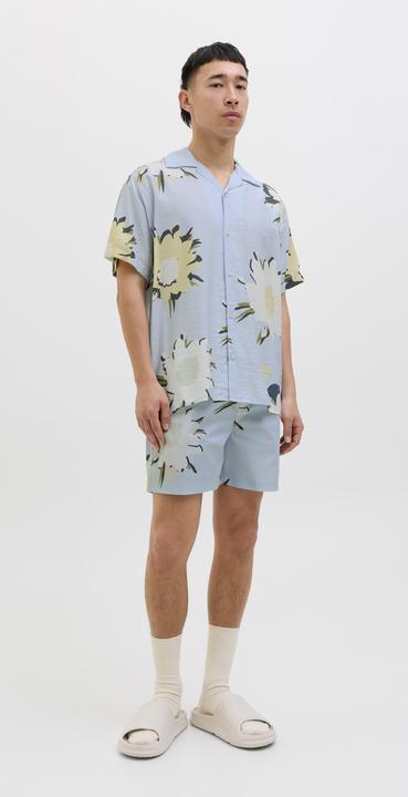 Image du produit Jack & Jones Relaxed Fit Hemd Hemd (L)