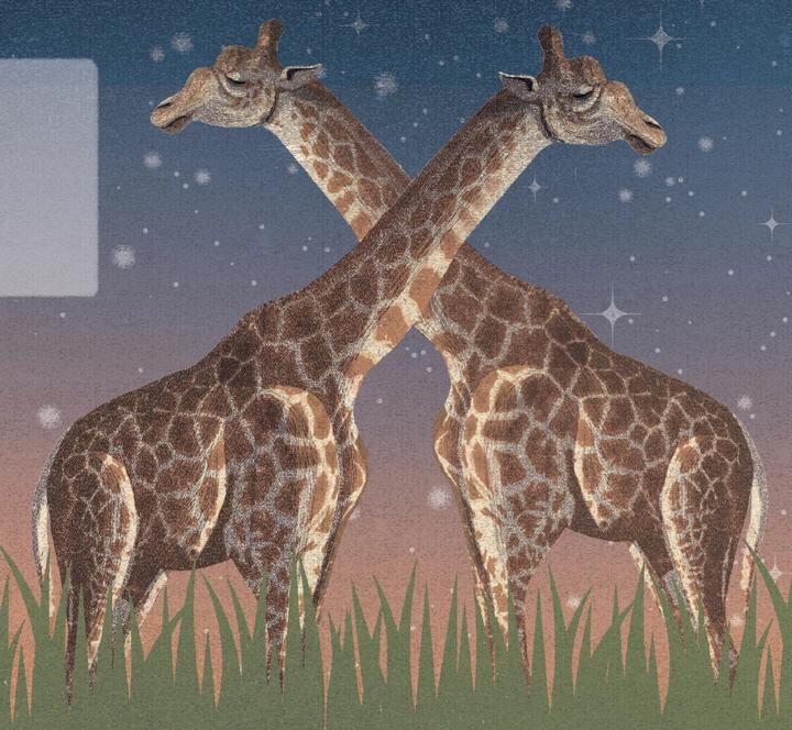 Immagine prodotto Die Nacht ist voller Wunder (Tedesco, Nicola Edwards, 2019)