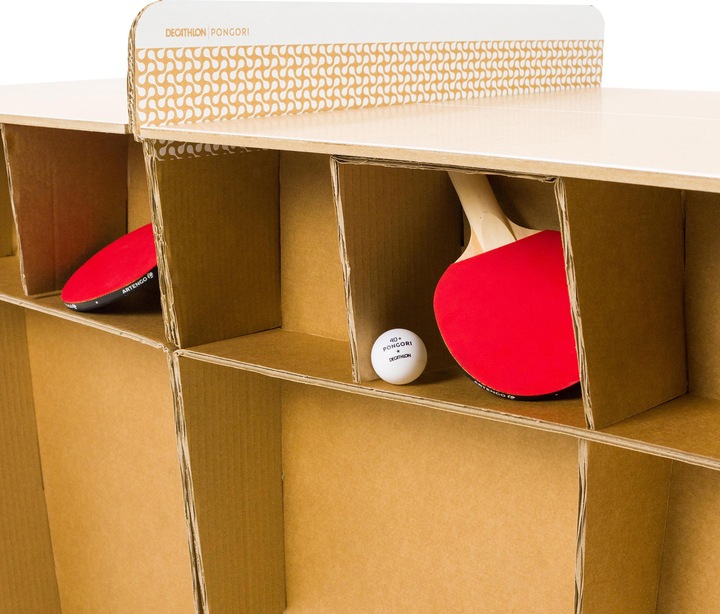 Actual product image Pongori PPT 100 INDOOR