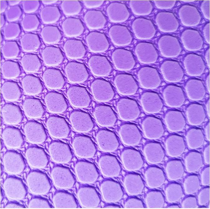 Actual product image Sveltus Pilates roller