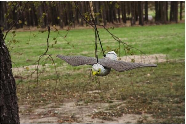 Actual product image Bradas Bird repellent