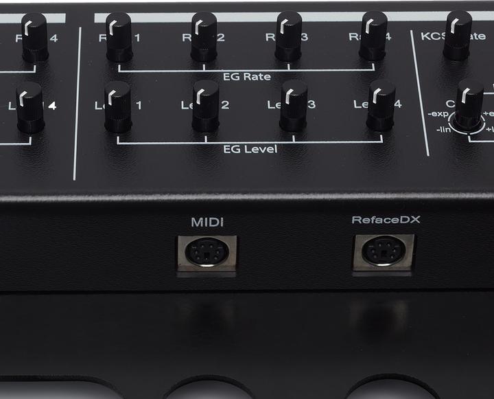 Actual product image Dtronics DT-RDX-V2