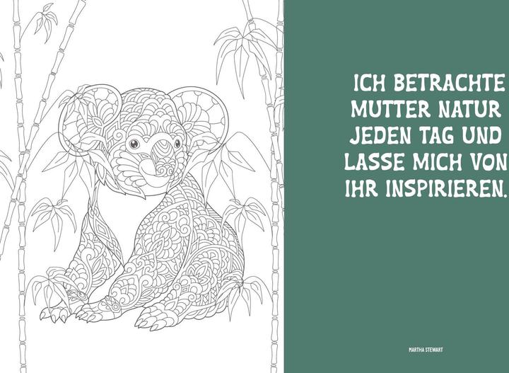 Produktbild Colorful Mandala – Mandala – Dschungeltiere
