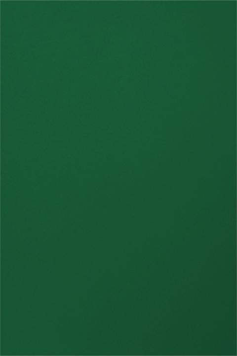 Produktbild Folia Tonpapier, 50 x 70 cm, 130g/m² (130 g/m², 1 x)