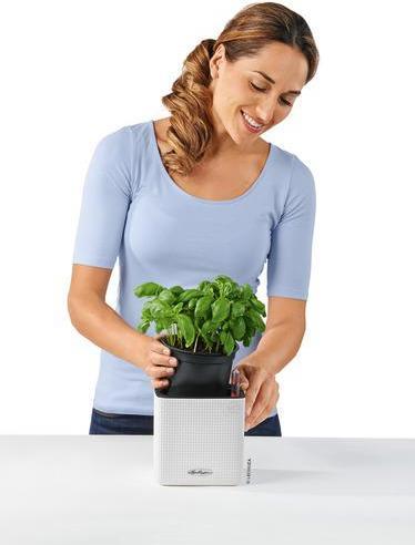 Actual product image Lechuza Cube Color (17 cm)