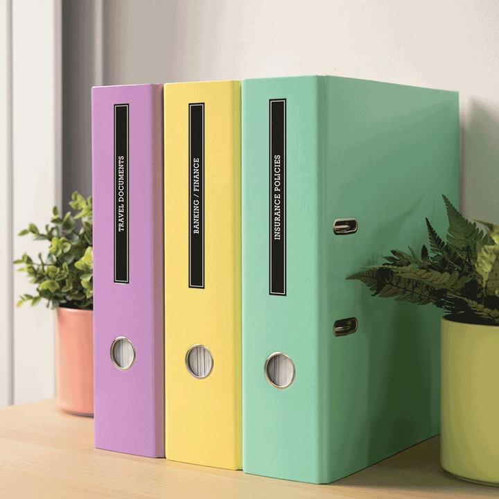 Immagine prodotto Brother P-touch PT-N25BT