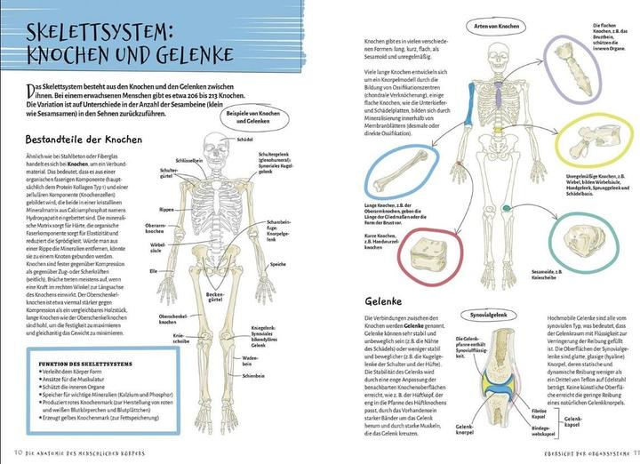 Immagine prodotto Librero Die Anatomie des Menschlichen Körpers (Tedesco, Ken Ashwell, 2024)