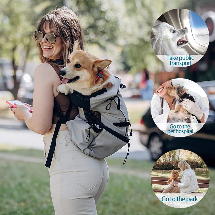 Immagine prodotto Galatée Zaino porta cani (Cane, Traspirante)