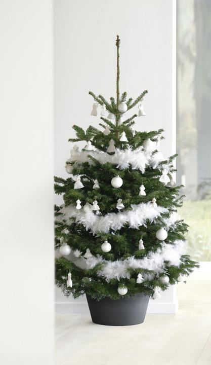 Image du produit Ecopots Stand de l'arbre de Noël