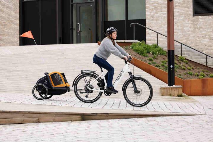 Image du produit hamax Dog Trailer Milou