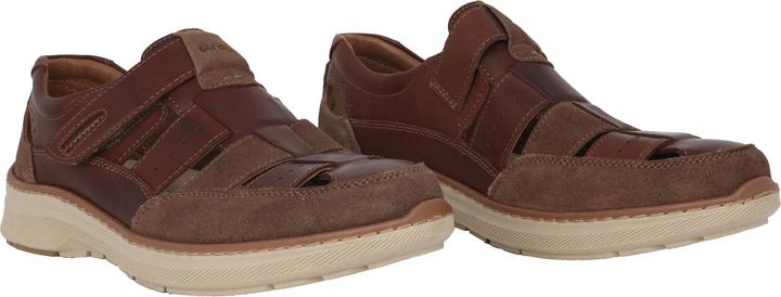 Actual product image Ara Pedro (45)