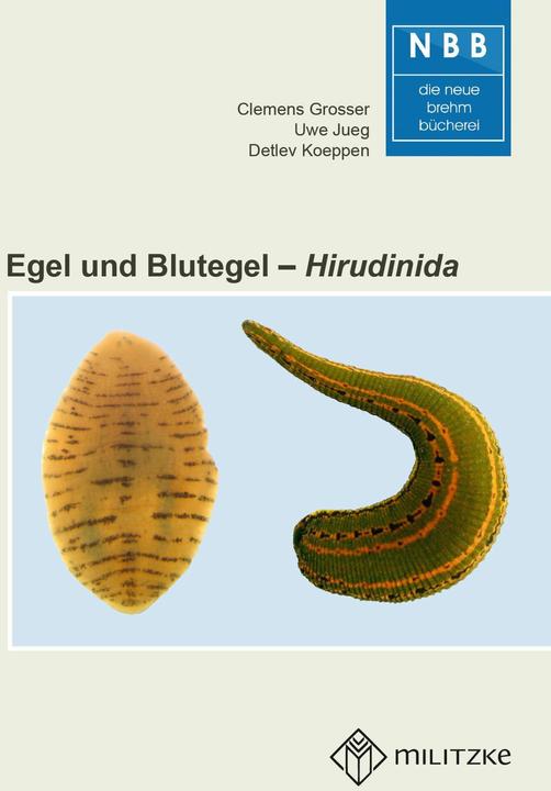 Actual product image Grosser:Egel und Blutegel (German, Uwe Jueg, Clemens Grosser, Detlev Dr Koeppen, 2024)