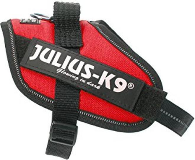 Immagine prodotto Julius-K9 Dimensione del cablaggio di alimentazione IDC Mini-mini rosso (mini1, Cane, Generale)