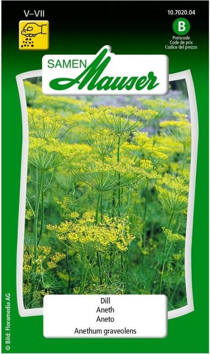 Produktbild Samen Mauser Dill (Kräutersamen)
