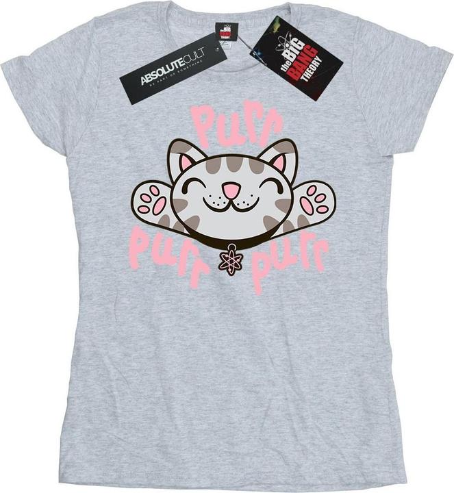 Actual product image Big Bang Theory Womens/Ladies Soft Kitty Purr Cotton T-Shirt (M)