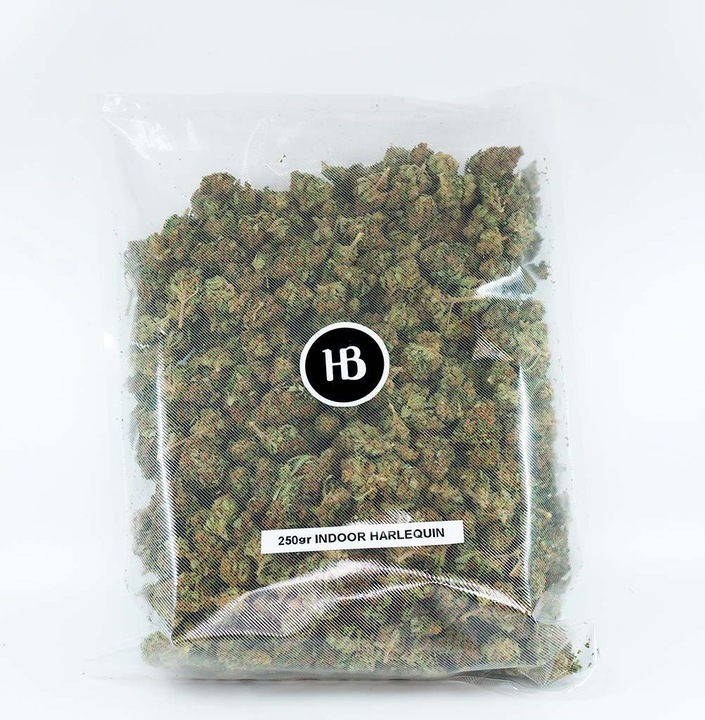 Image du produit Herba di Berna Harlequin (100 g, Intérieur)