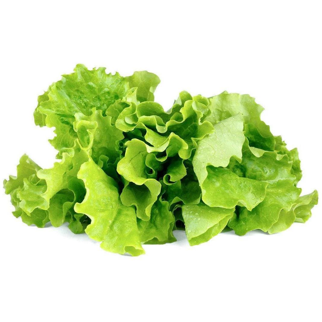 Click and Grow Grüner Salat (Gemüsesamen) (4742793007731)