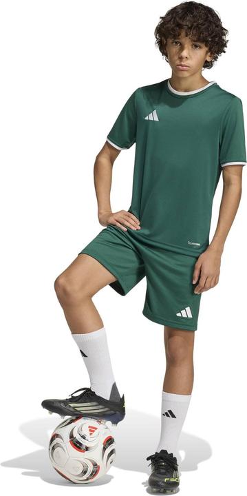 Image du produit Adidas Ent26 Sho Y - drkgrn/white (164)
