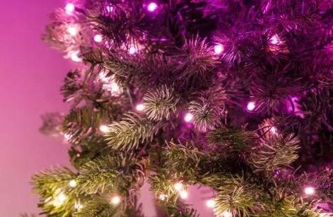 Image du produit Twinkly Arbre PreLit (150 cm)