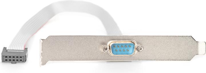 Image du produit Digitus Câble série à fente, 0,25m (0.25 m)