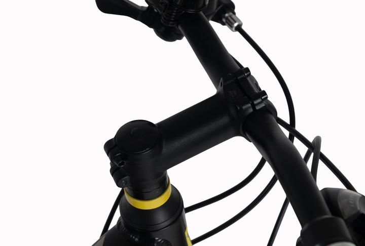 Actual product image KS Cycling WYLD Mountainbike Hardtail 29" Xplicit 21 Gänge (53 cm)