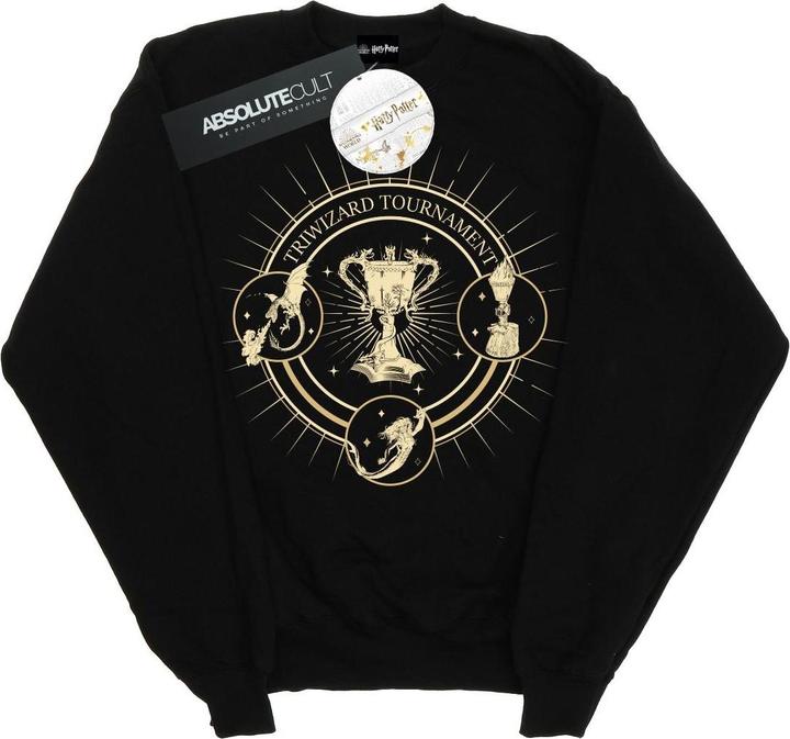 Image du produit - Sweat TRIWIZARD SEAL - Homme (L)