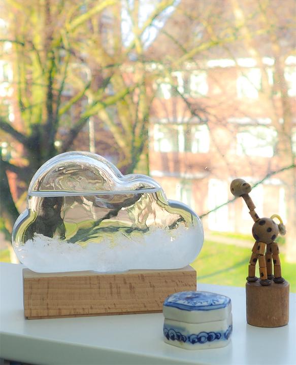 Produktbild Bitten Storm Cloud Weather Predictor