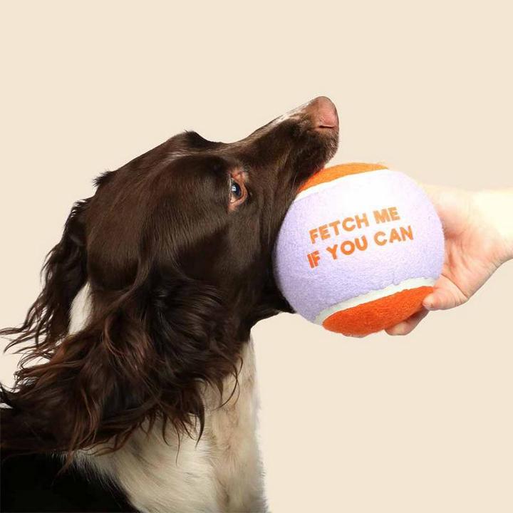 Immagine prodotto Coockoo Ball Fetch Me XL