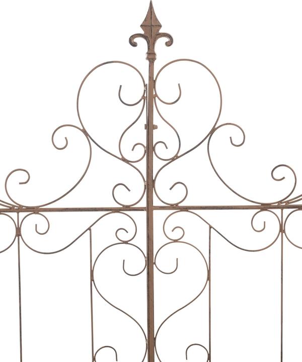 Actual product image CLP Mandevilla (1 cm, 99 cm)