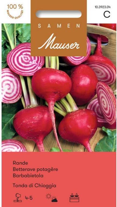 Actual product image Samen Mauser Rande Tonda di Chioggia (Vegetable seeds)