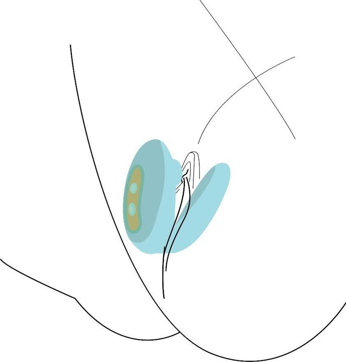 Produktbild Xocoon Couples Foreplay Enhancer