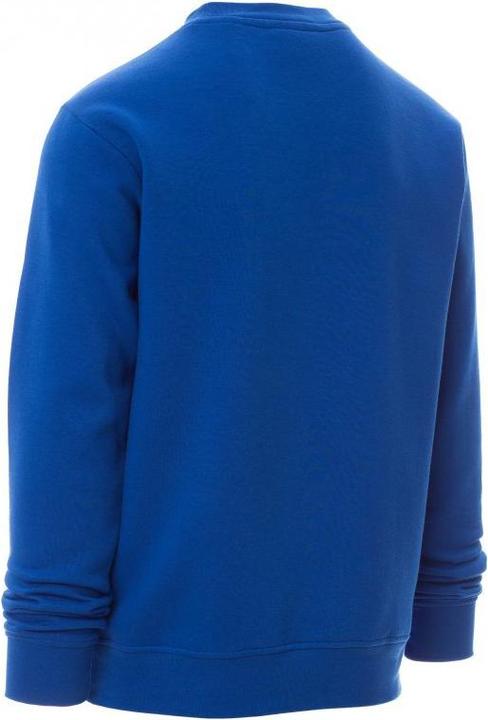 Actual product image Payper New Orleans crew neck sweatshirt (L)