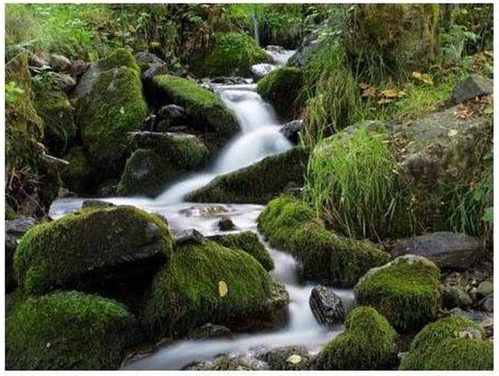 Actual product image Hoya Pro ND4 Filter (77 mm, Neutral density filter)