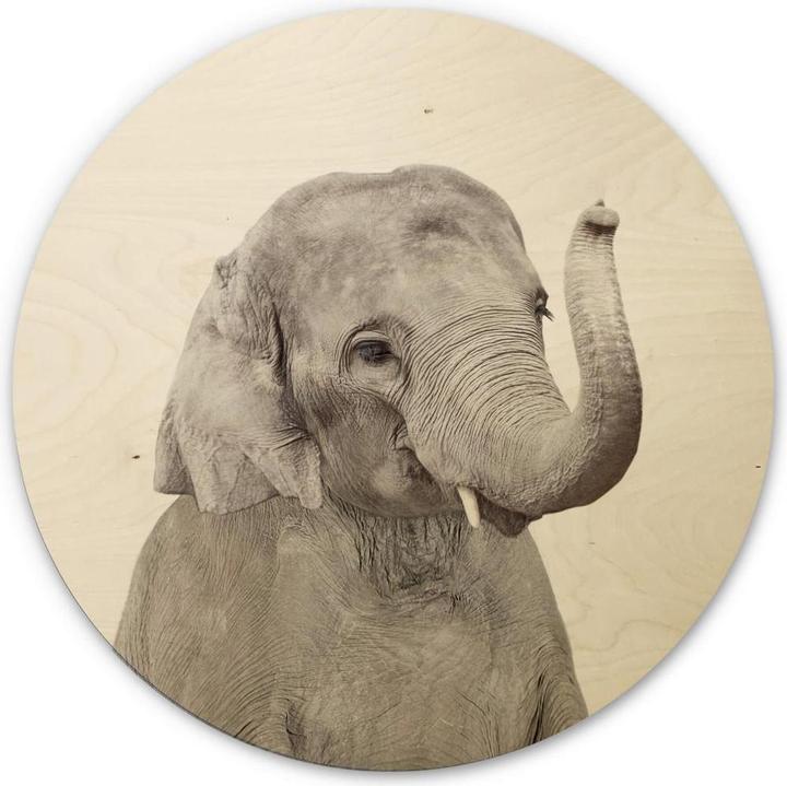 Produktbild Trenddeko Baby Elefant (30 x 30 cm)