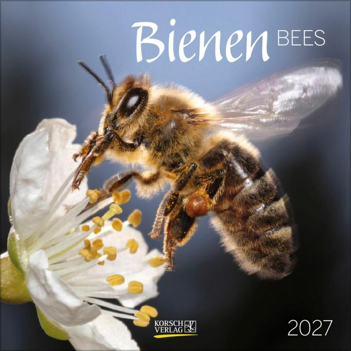Produktbild Bienen 2027