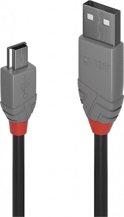 Actual product image Lindy USB 2.0 (0.50 m, USB 2.0)