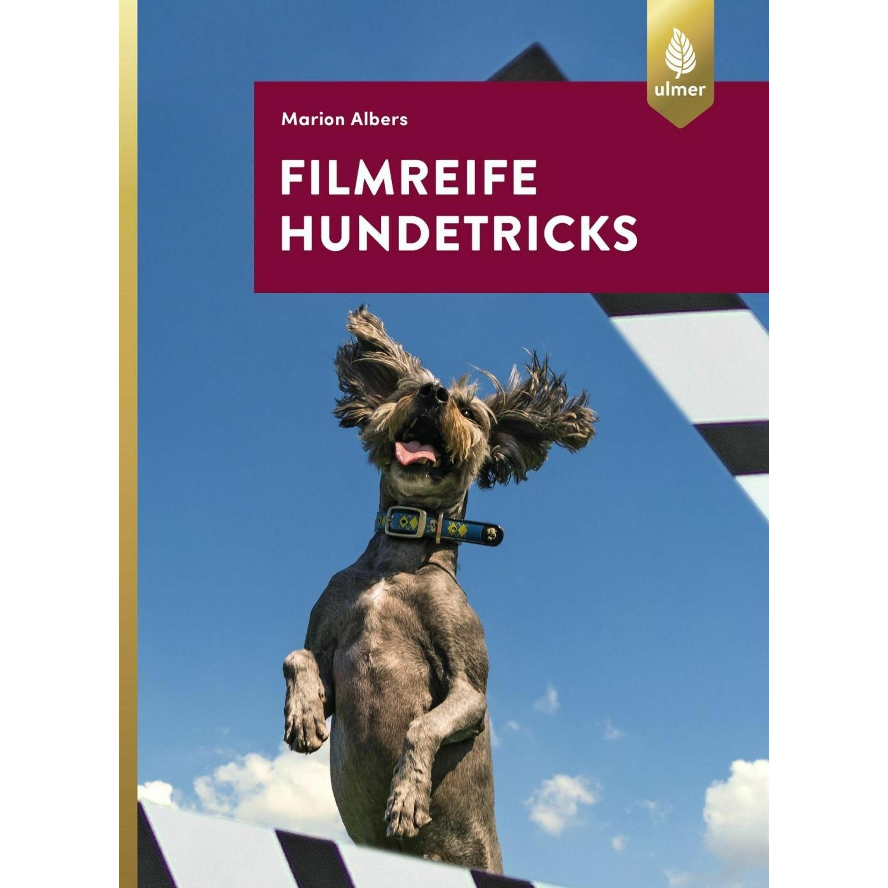 Filmreife Hundetricks, Ratgeber von Marion Albers
