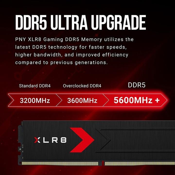 Actual product image PNY Speicher DDR5 64GB (2x32) 6000 C30 (2 x 32GB, 6000 MHz, DDR5 RAM)