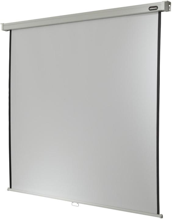 Actual product image Celexon Rollo Professional (112", 1:1)