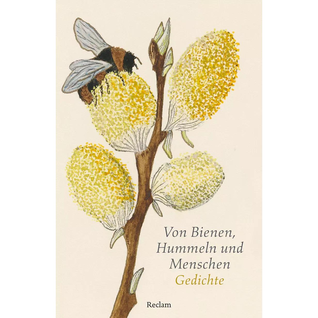 Von Bienen, Hummeln und Menschen, Belletristik von Eberhard Scholing