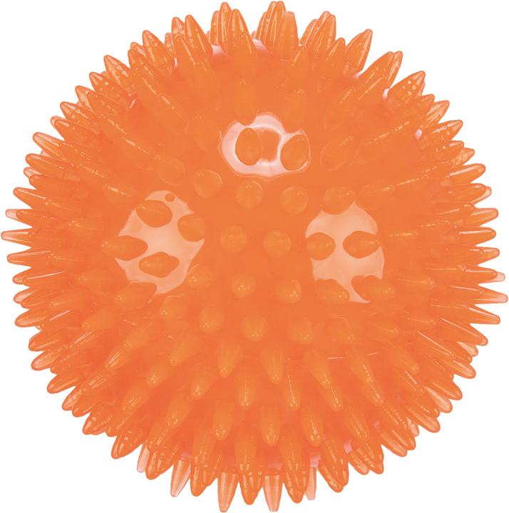 Actual product image Trixie Hedgehog ball TPR D=8cm (Ball toy dog)