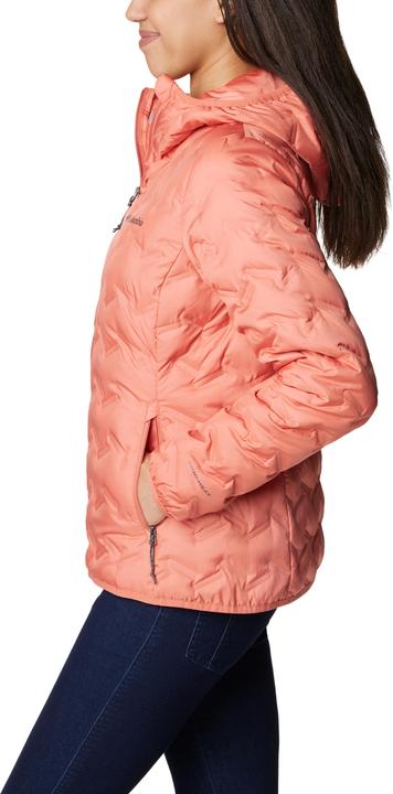 Image du produit Columbia Delta Ridge Veste à capuche Down (M)