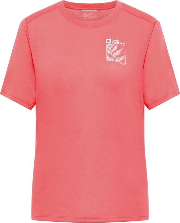 EXPLORE sunset coral