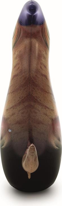 Actual product image Bestway Boxing animal dinosaur