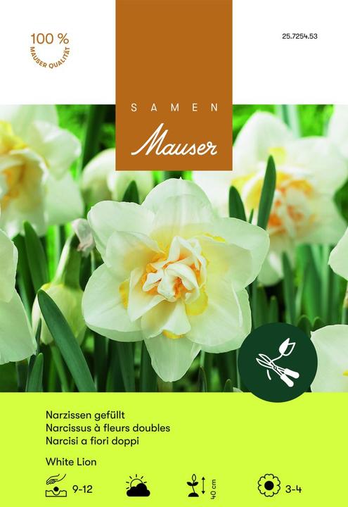 Produktbild Samen Mauser White Lion gefüllte (Blumenzwiebeln)