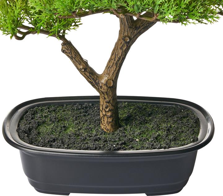 Immagine prodotto Beliani Pine (37 cm)