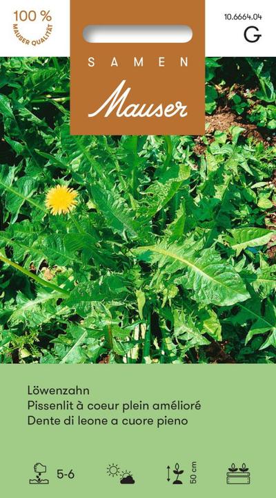 Produktbild Samen Mauser Löwenzahn (Gemüsesamen)