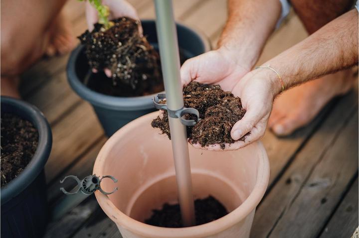 Actual product image Gusta Garden Tomato Buddy Starter (125.10 x 18 x 125.10 cm)
