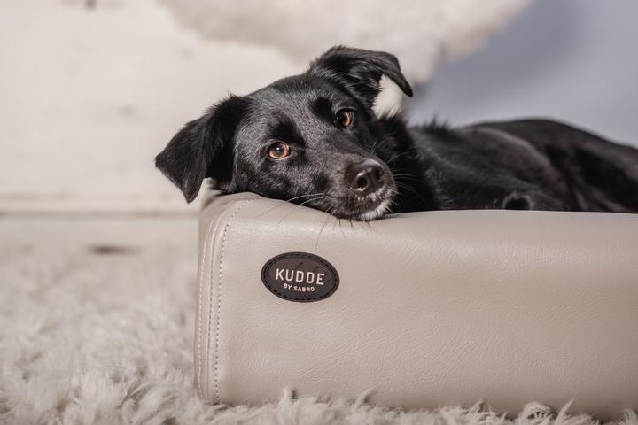 Produktbild Sabro Kudde (Hund)