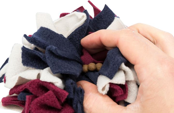 Actual product image Trixie Dog Activity Sniffing Ball (Intelligence toy dog)